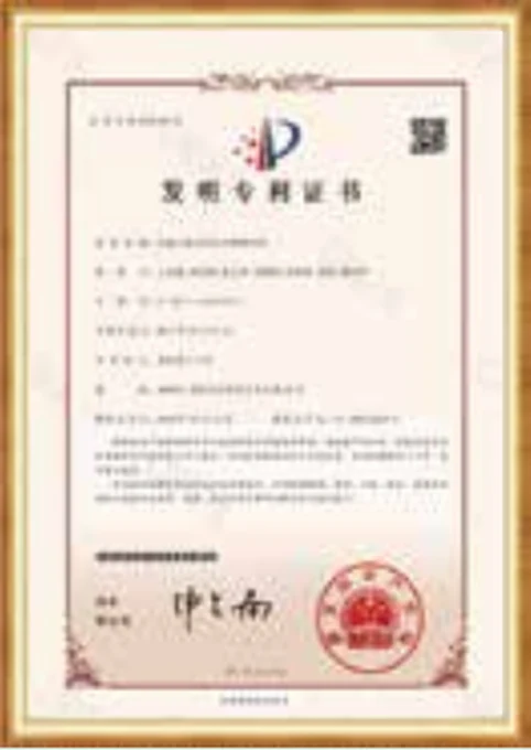 Patent certificate 2 reproduced in the Passion Glow catalog