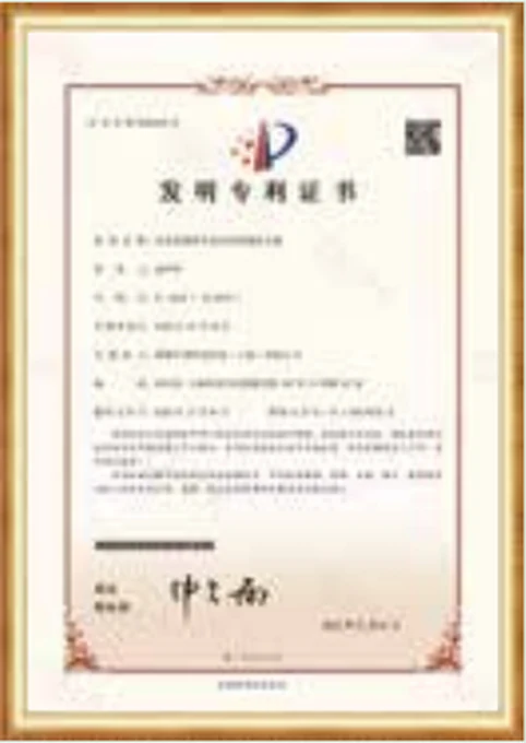 Patent certificate 6 reproduced in the Passion Glow catalog